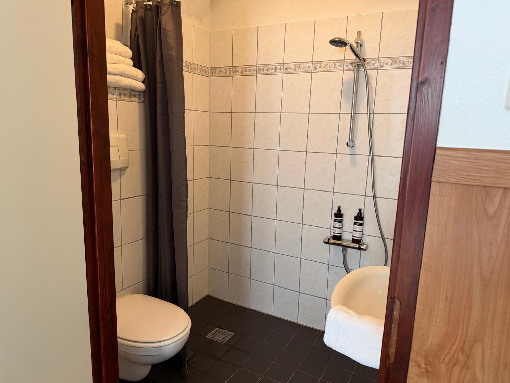 Standard Double Room Shower