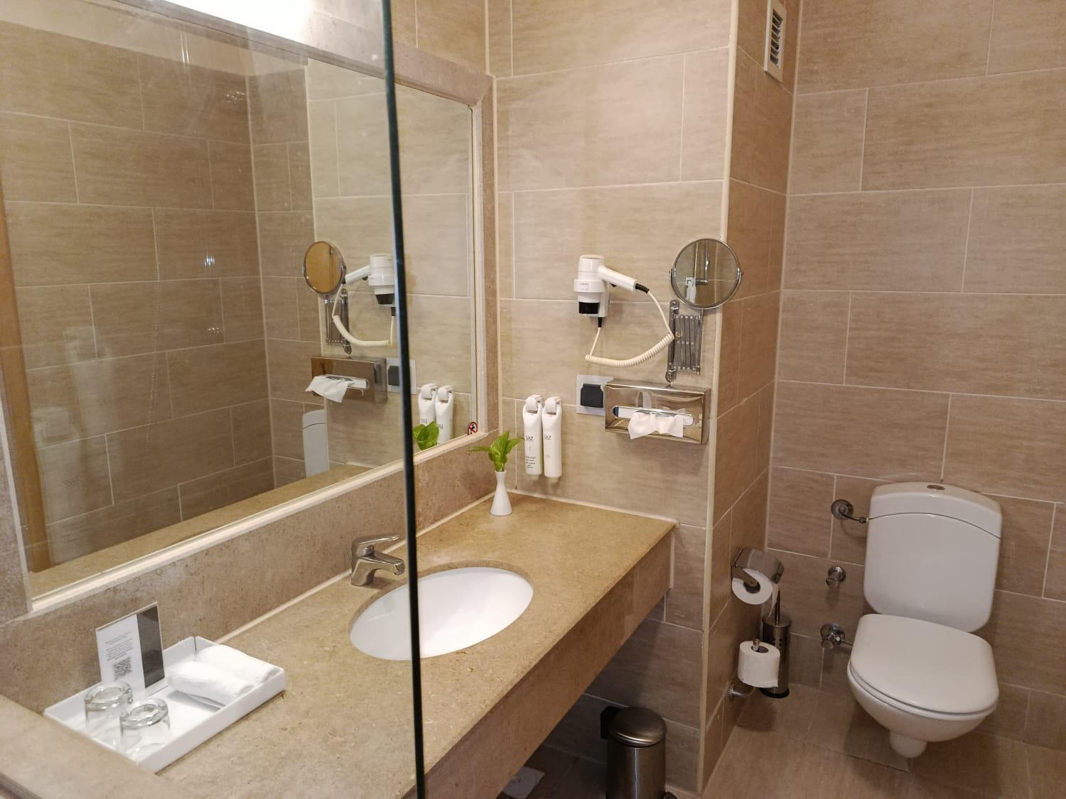 Superior Queen or Twin Bed Pool View