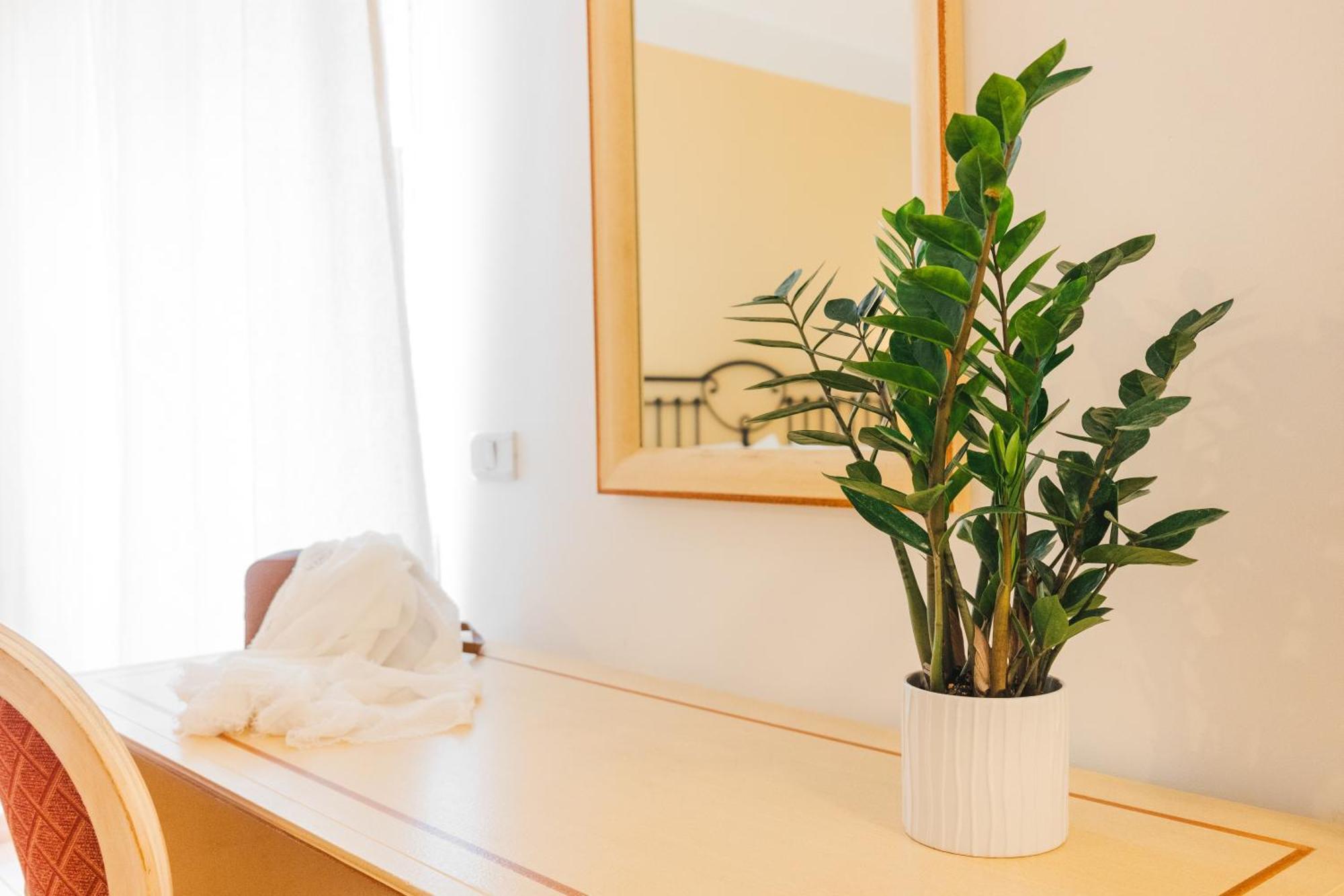 Comfort Quadruple Room
