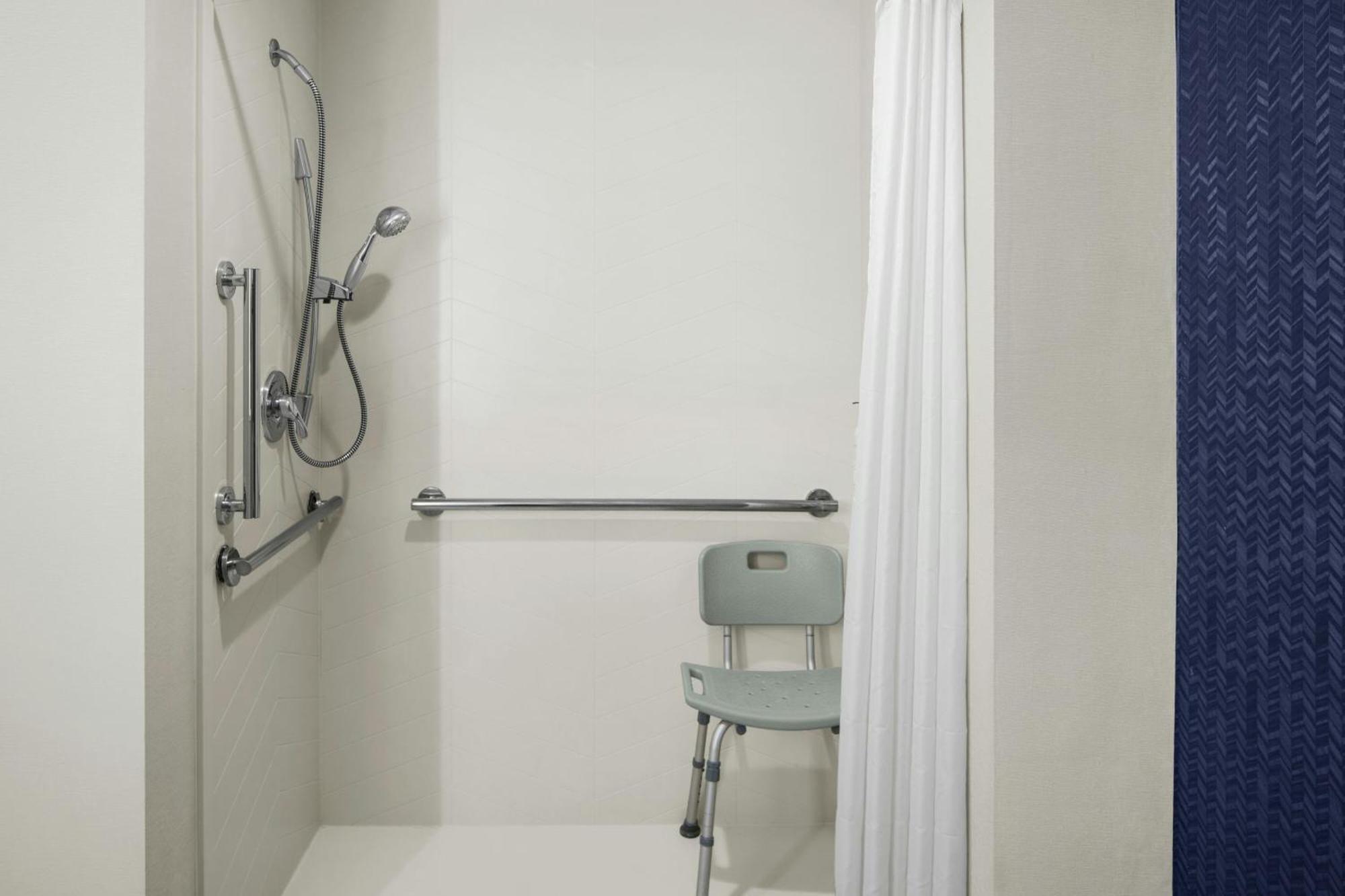 King Room Transfer Shower Sofa Bed Mobility Access or Hearing Accessible