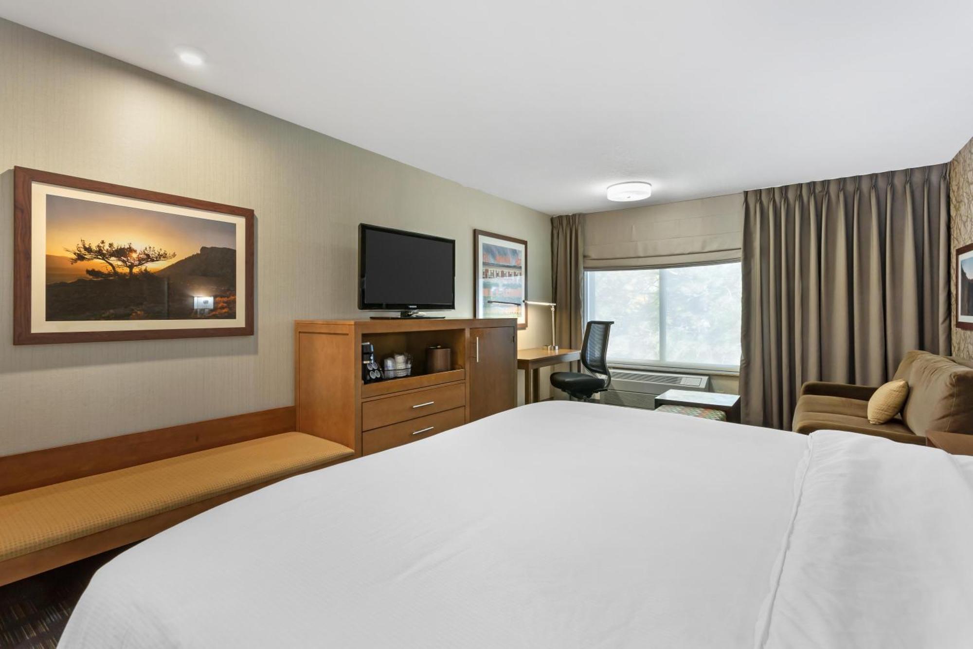 King Room Sofa Bed