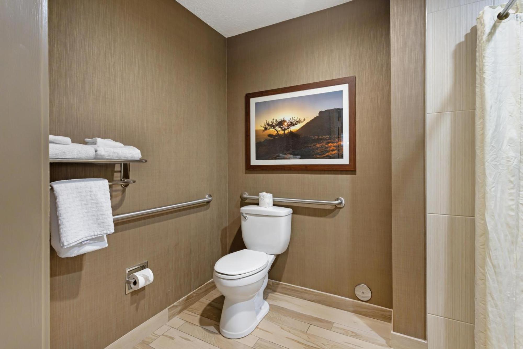 King Room Roll Shower Disability Access or Non-Smoking