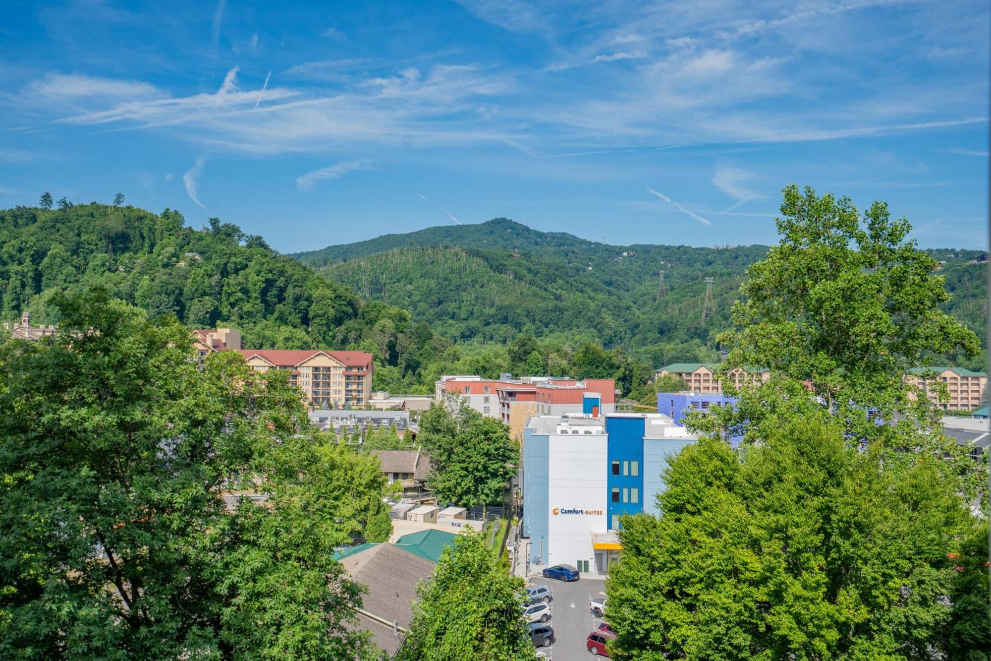 Laurel Inn 508
