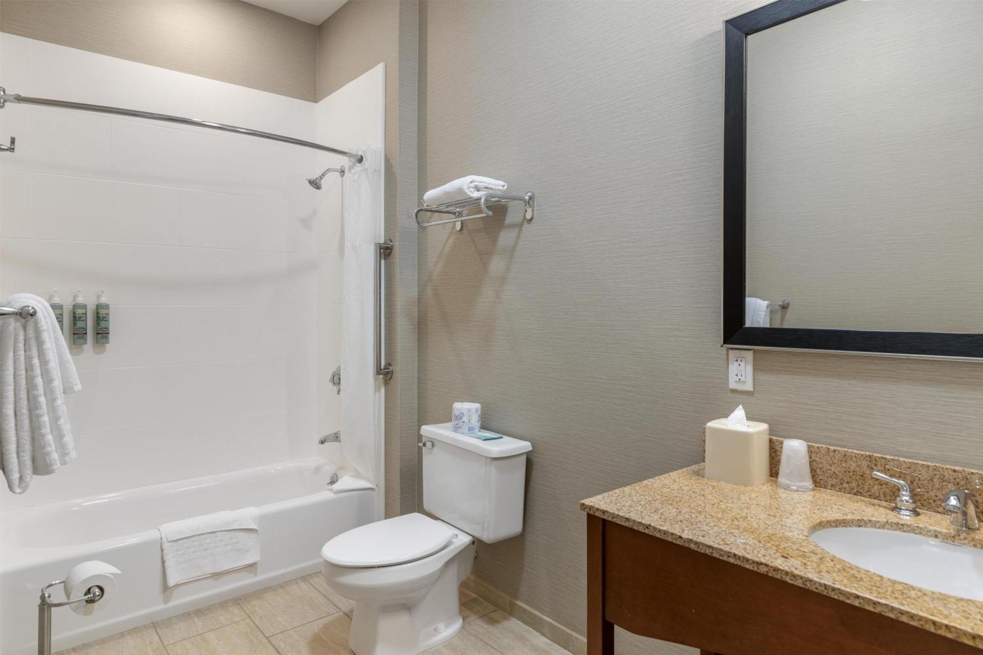 King Room Pet Friendly or Non-Smoking
