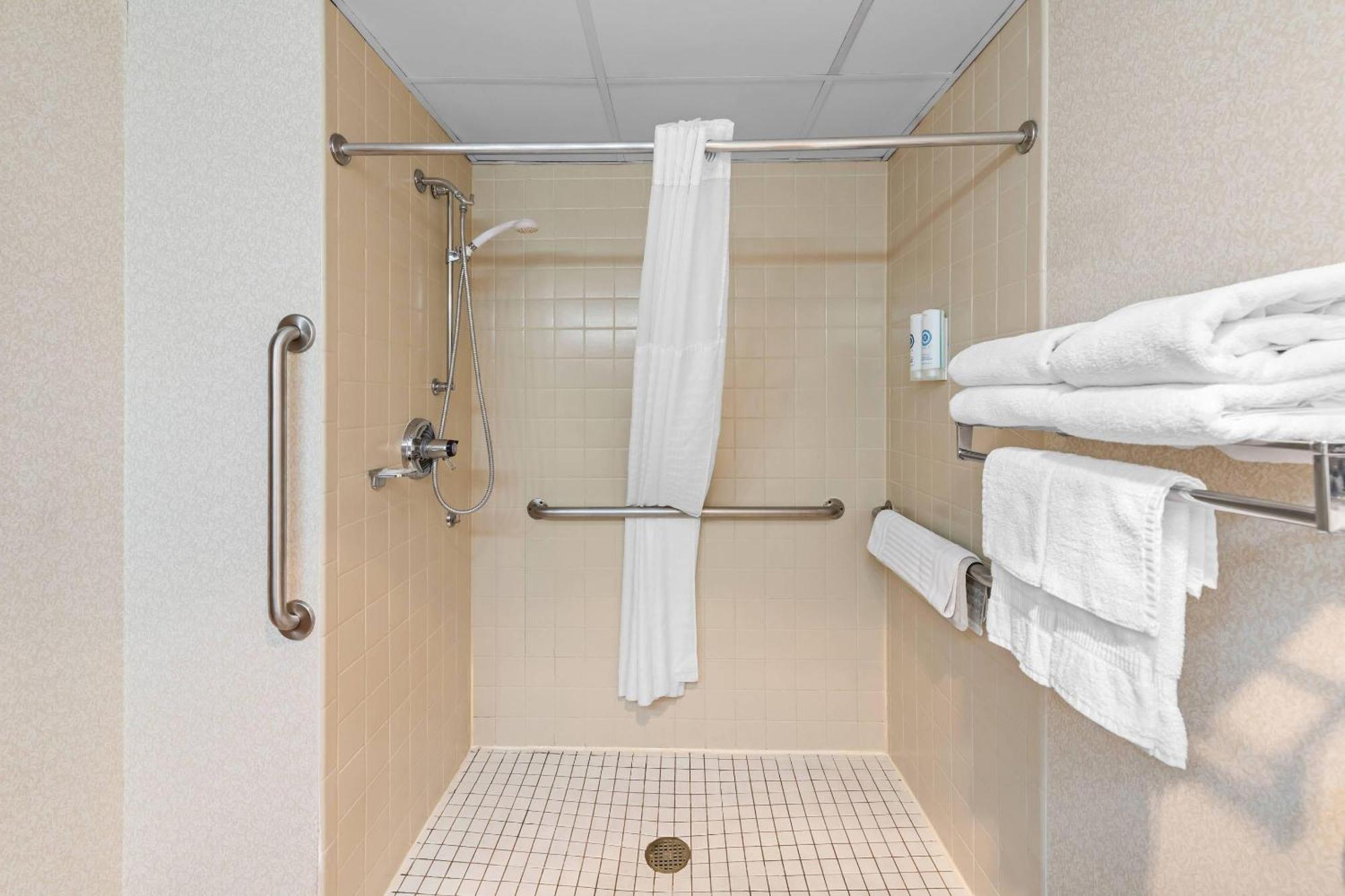 King Room Roll Shower Accessible or Non-Smoking