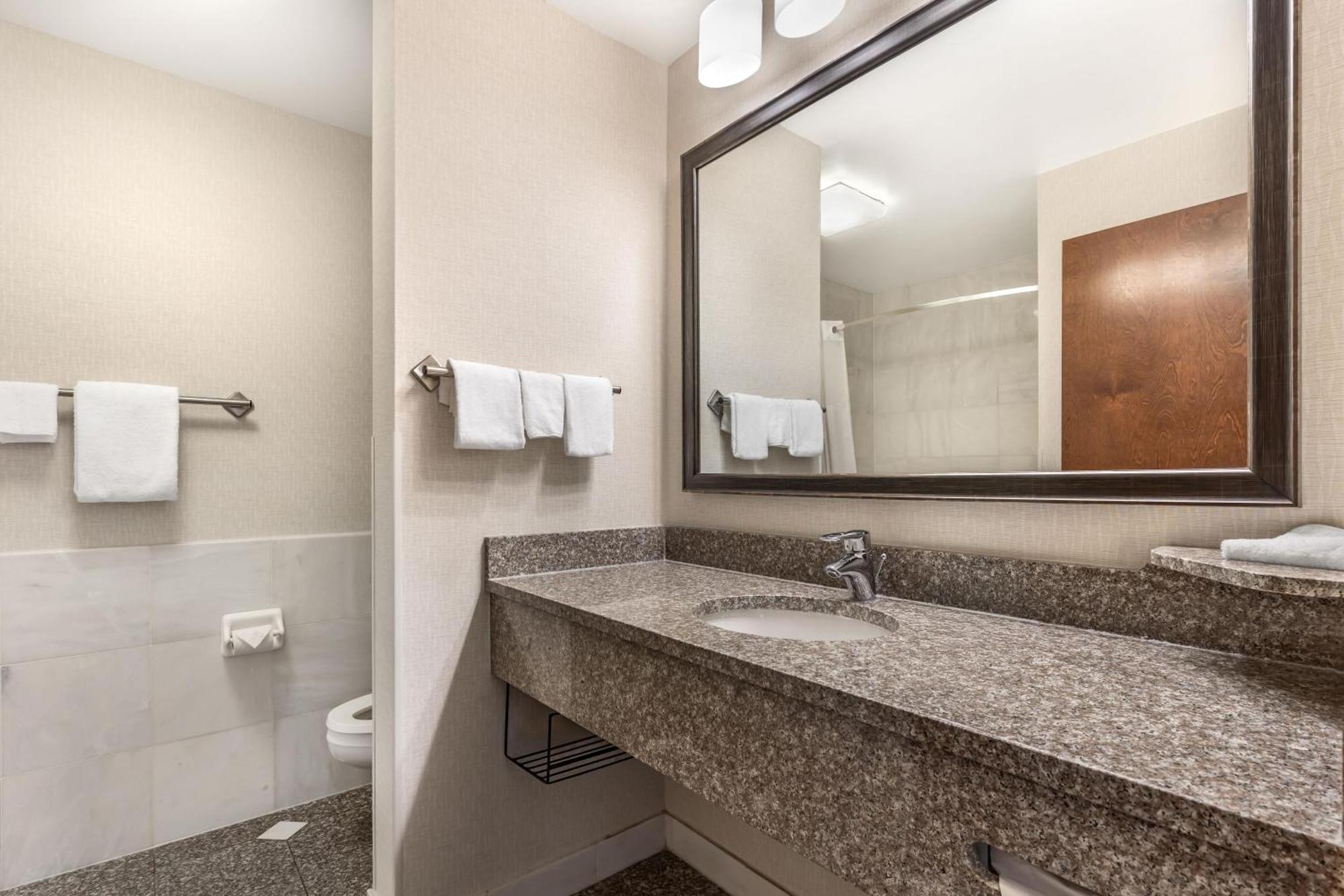 Deluxe King Room Accessible Roll Shower