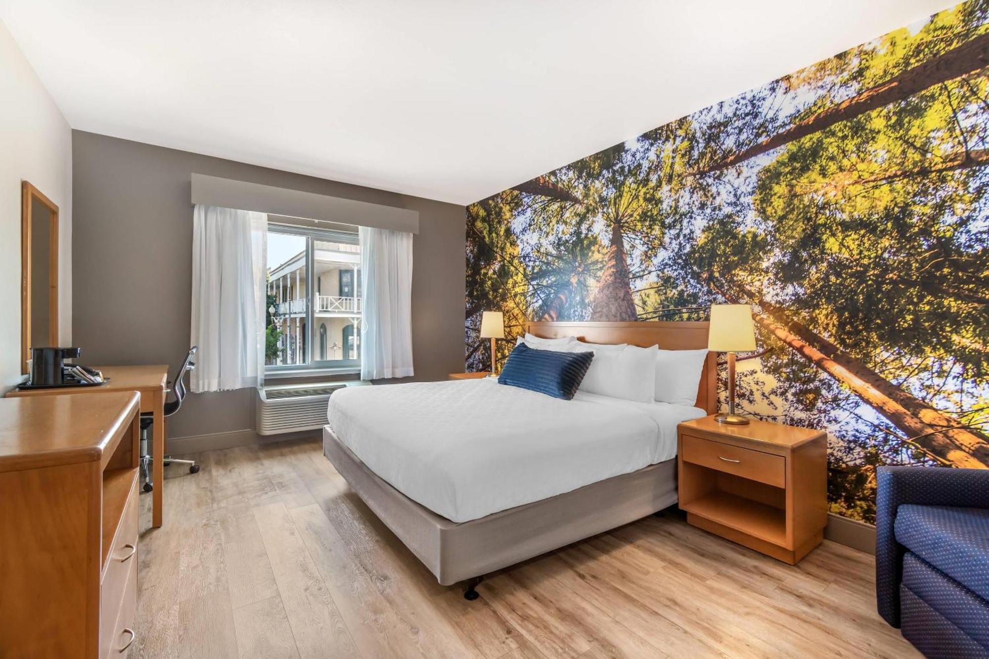 Standard Room J