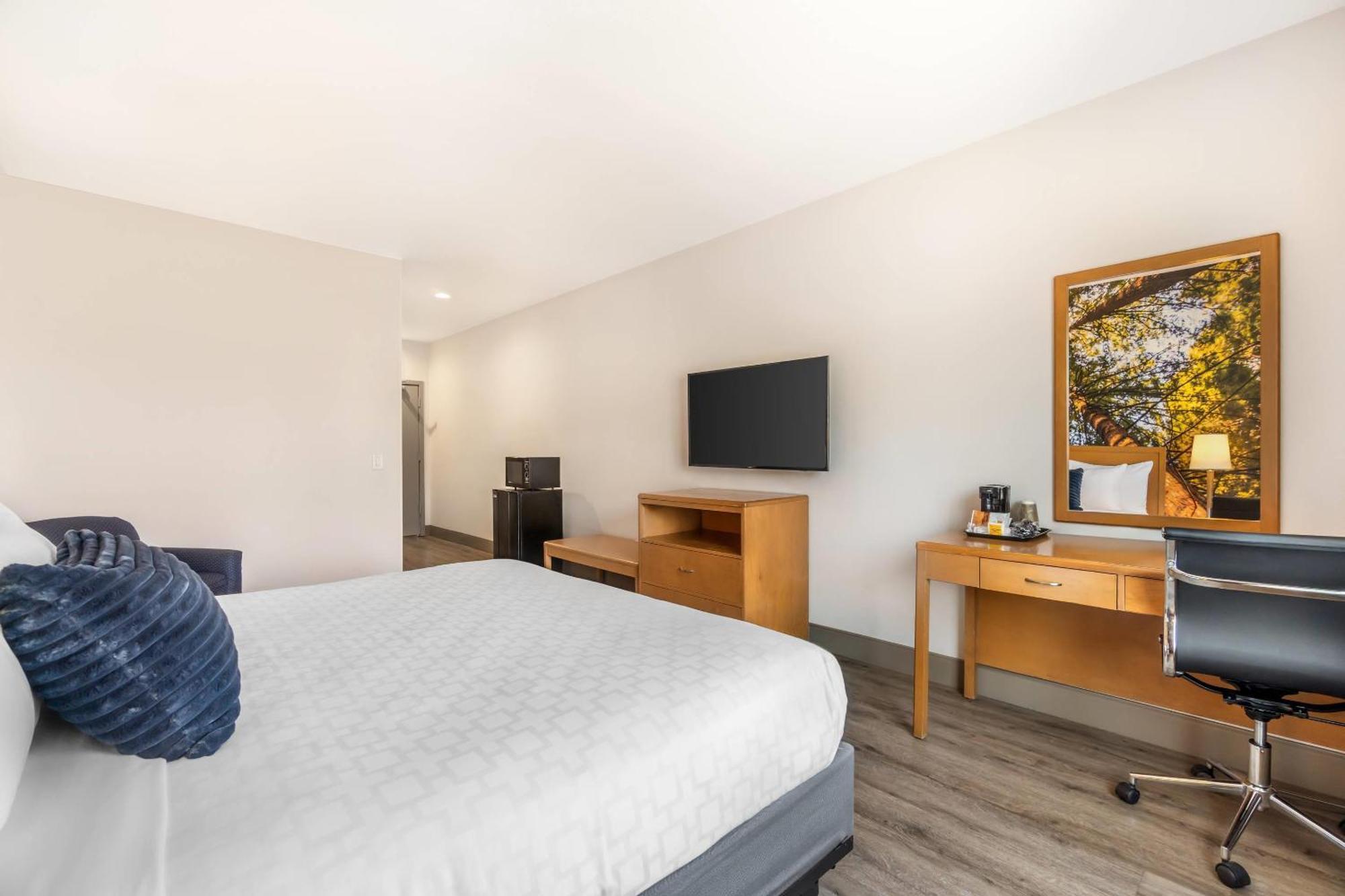 Standard Room J