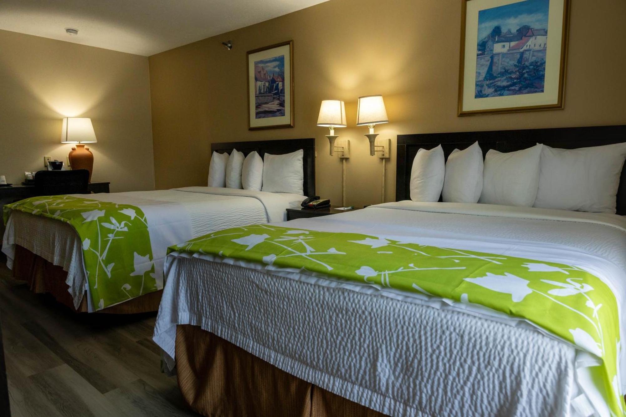 Queen Room Two Queen Beds