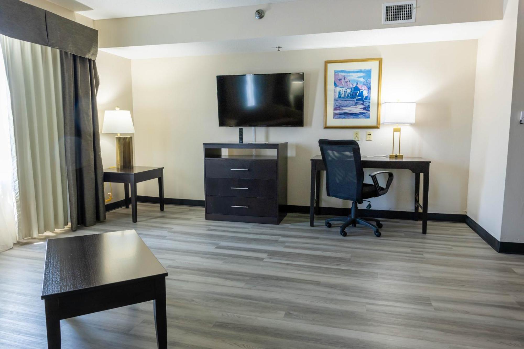 One-Bedroom King Suite Non-Smoking