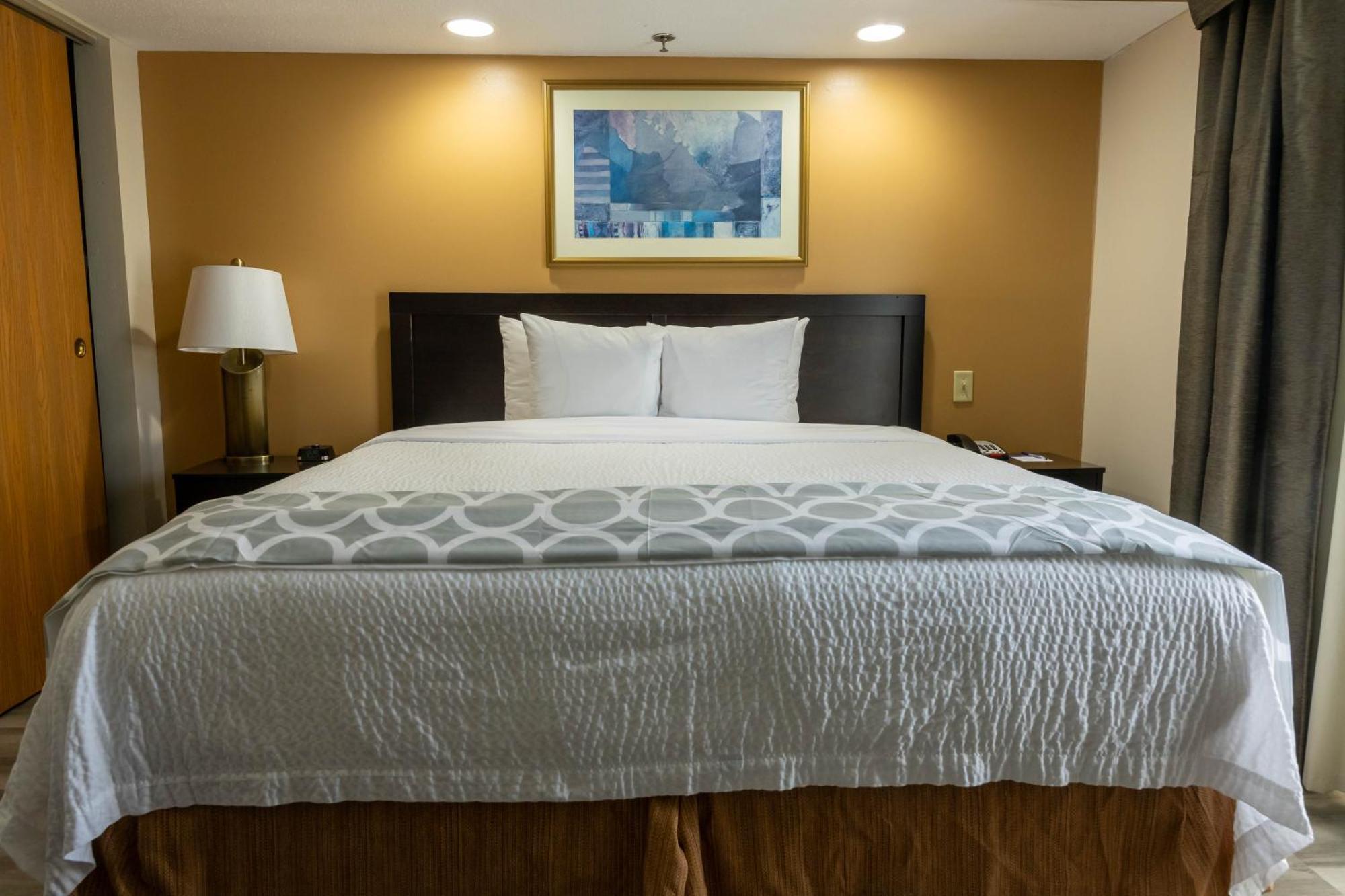 One-Bedroom King Suite Non-Smoking