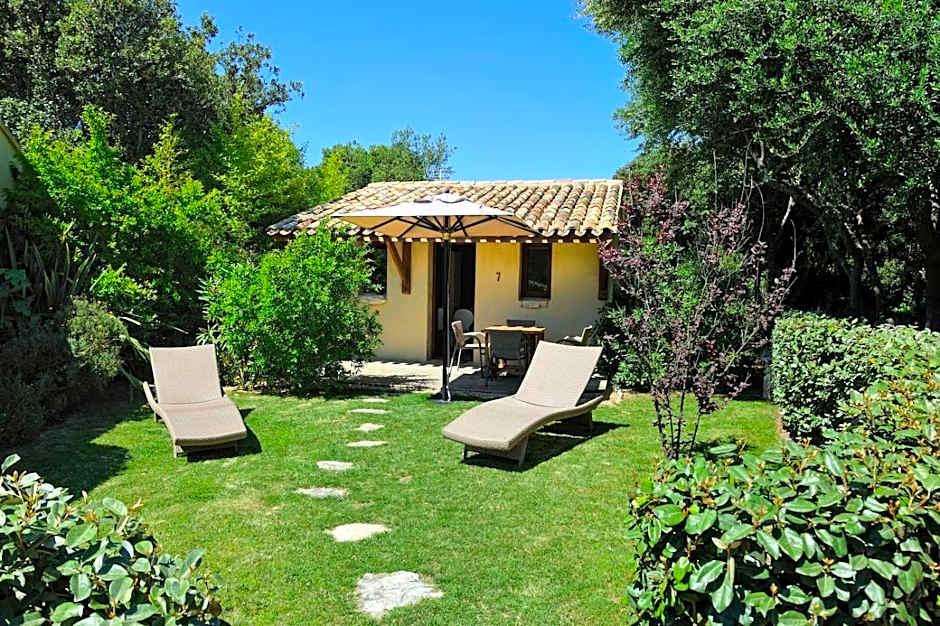 House Terrace garden view