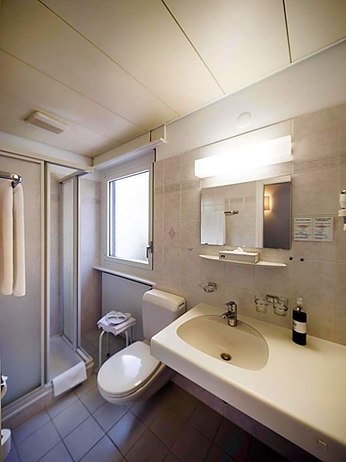 Budget Double or Twin Room Mountain View
