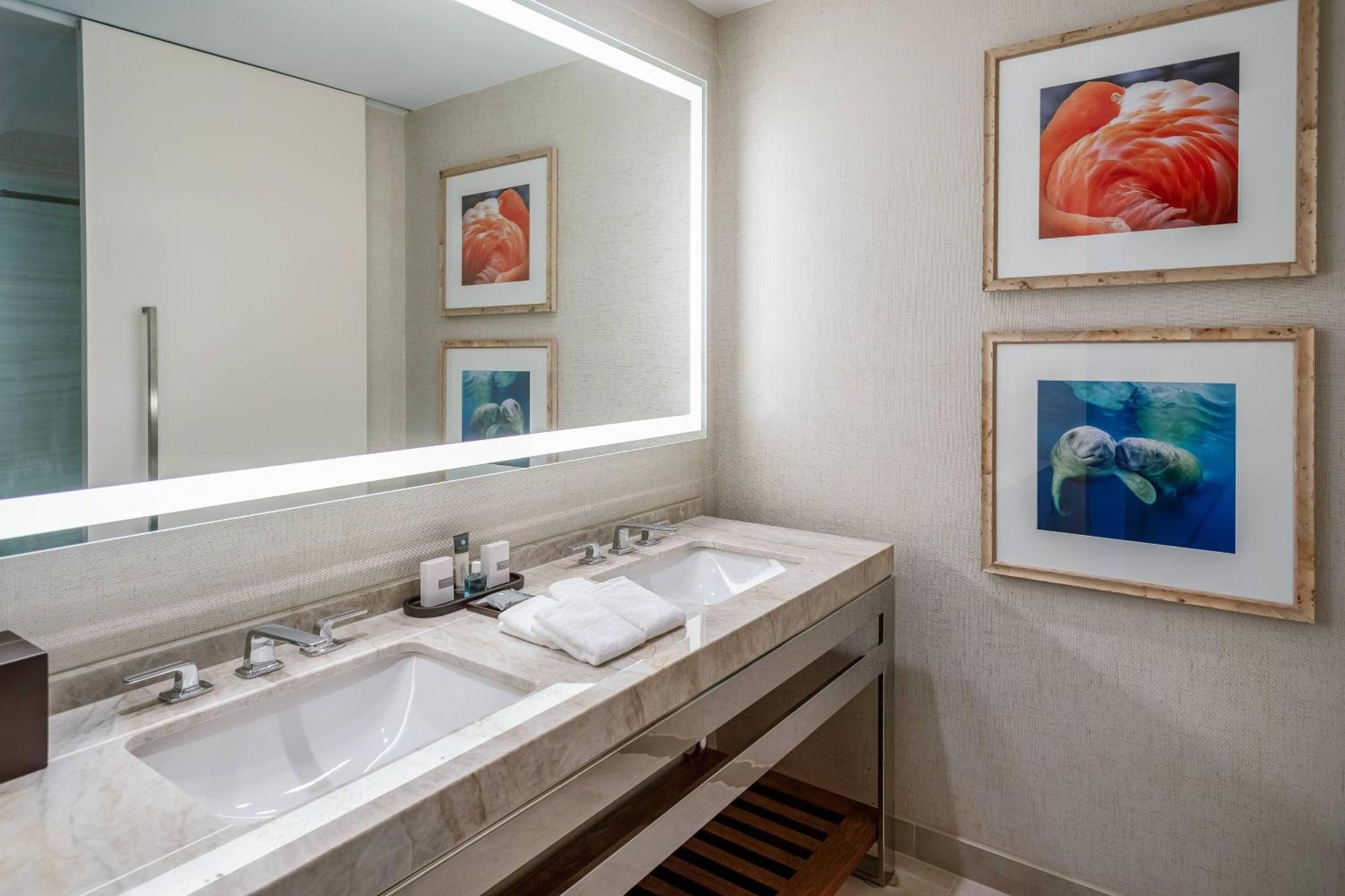 Two Queen Beds Florida View Gulf Coast Tower or Mobility Accessible Roll Shower