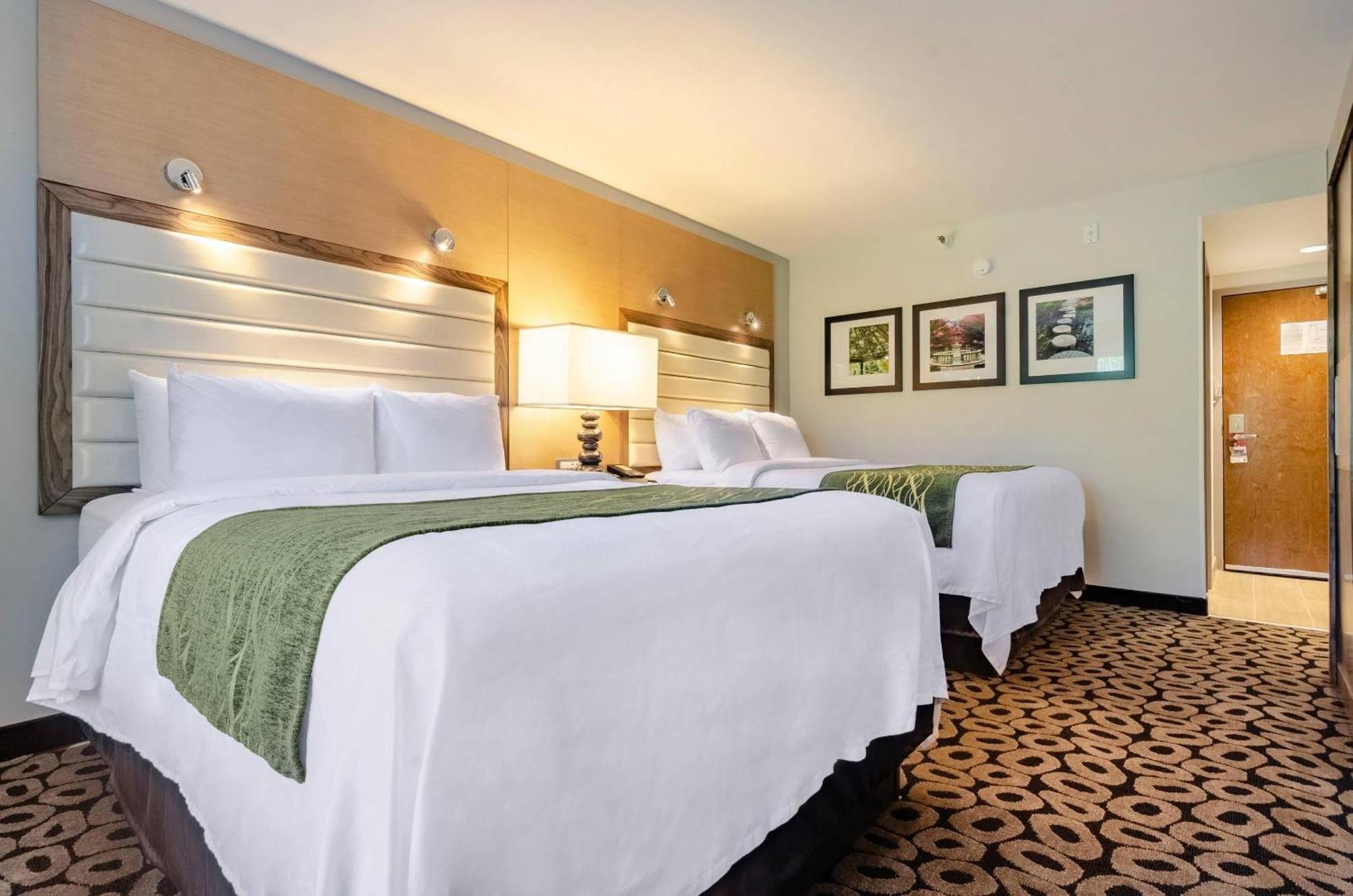 Queen Room Two Queen Beds Non-Smoking
