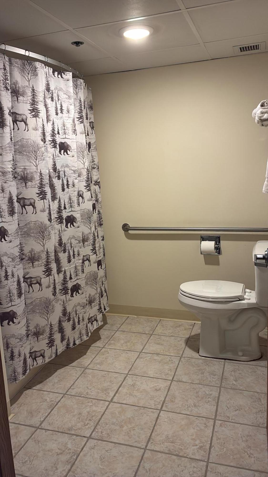 King Room Disability Access