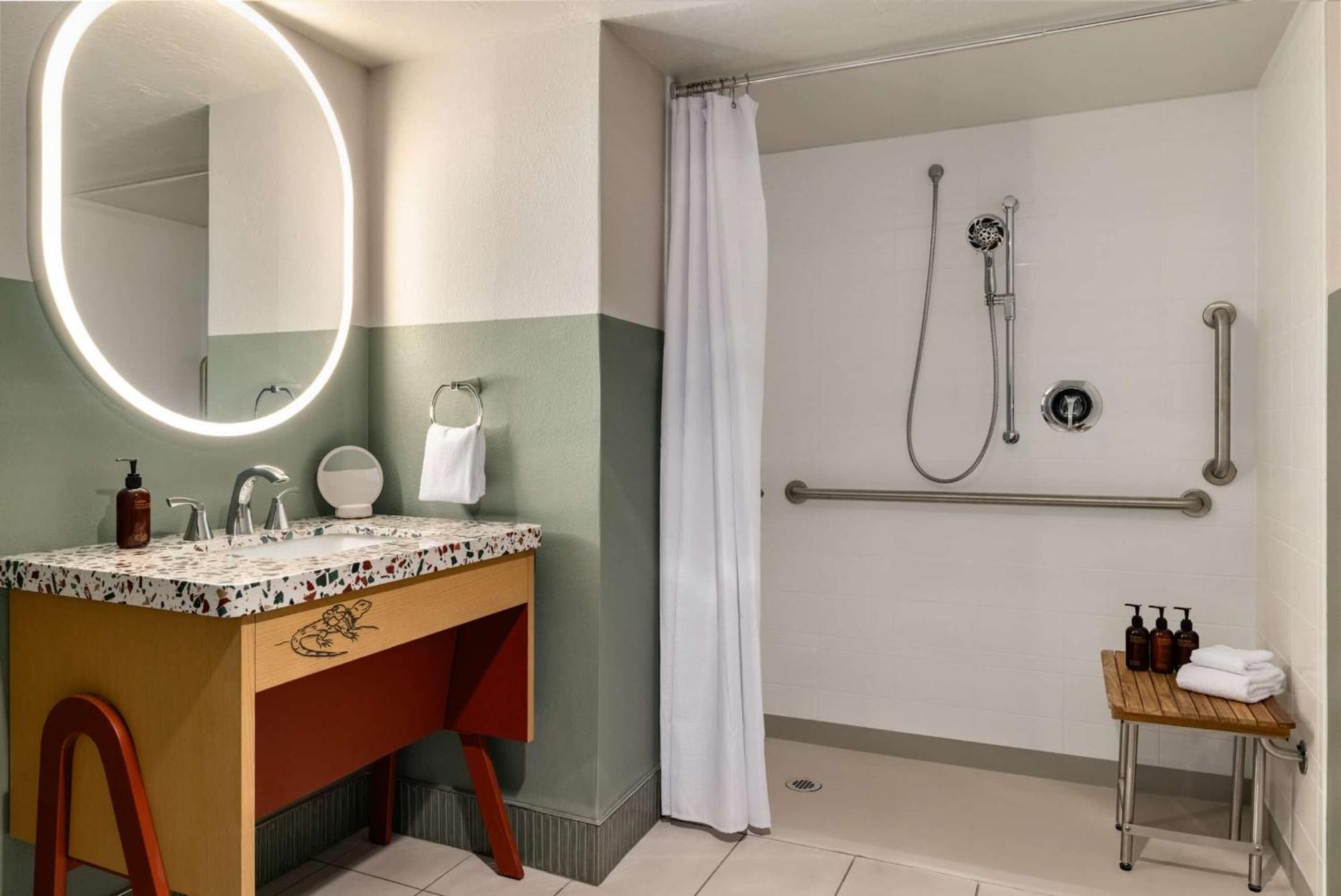 Accessible Roll Shower Deluxe King