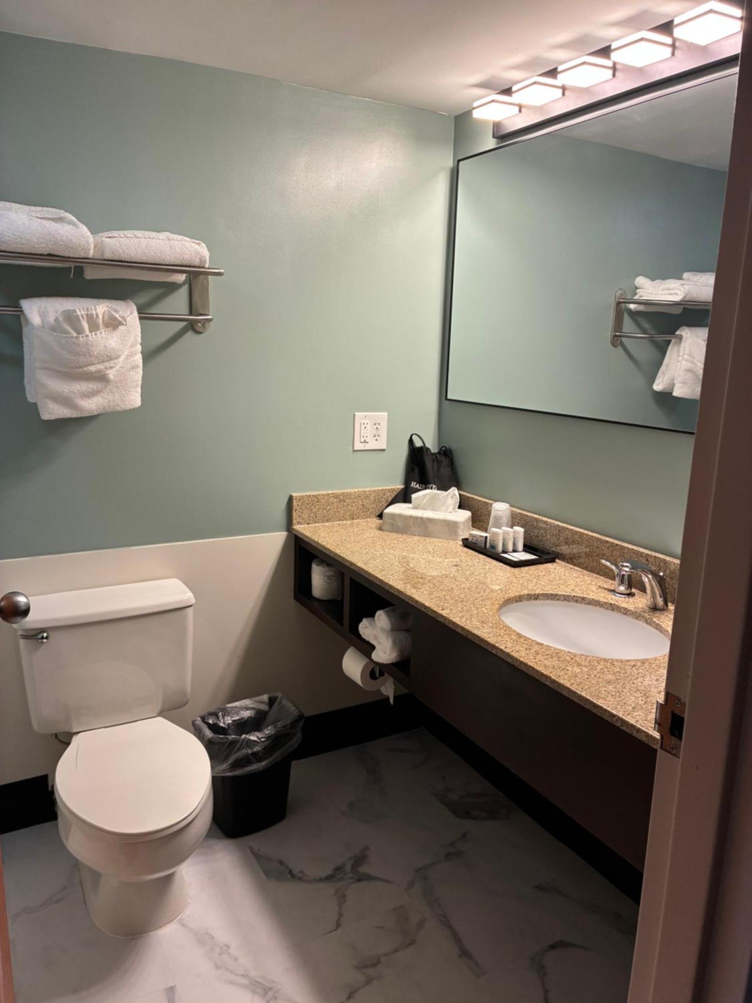 Deluxe King Suite