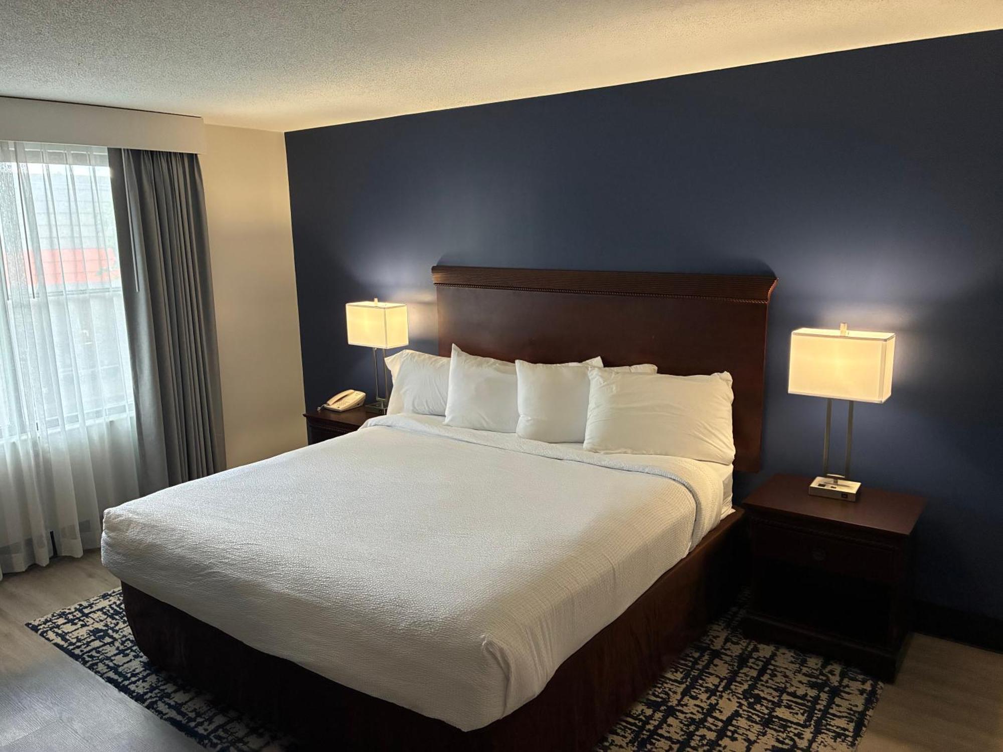 Deluxe King Suite