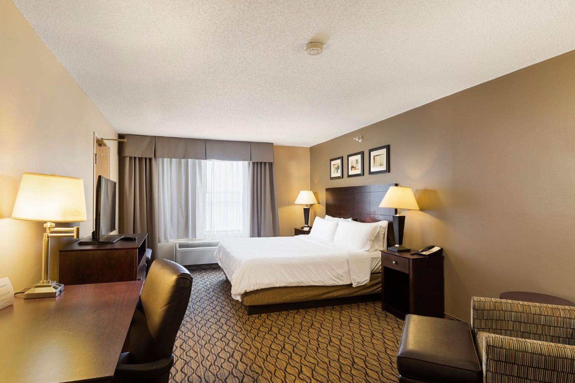 Standard King Room