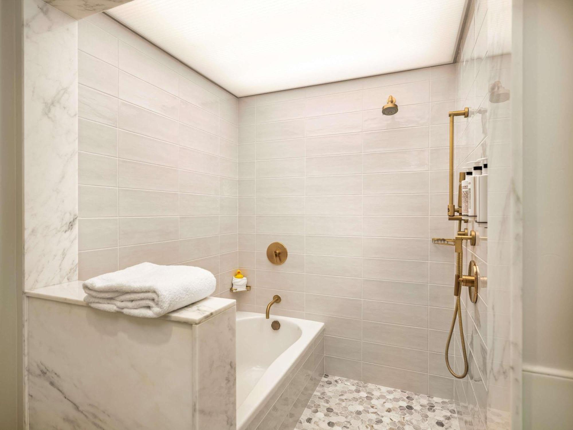 Luxury Suite Roll Shower Accessible
