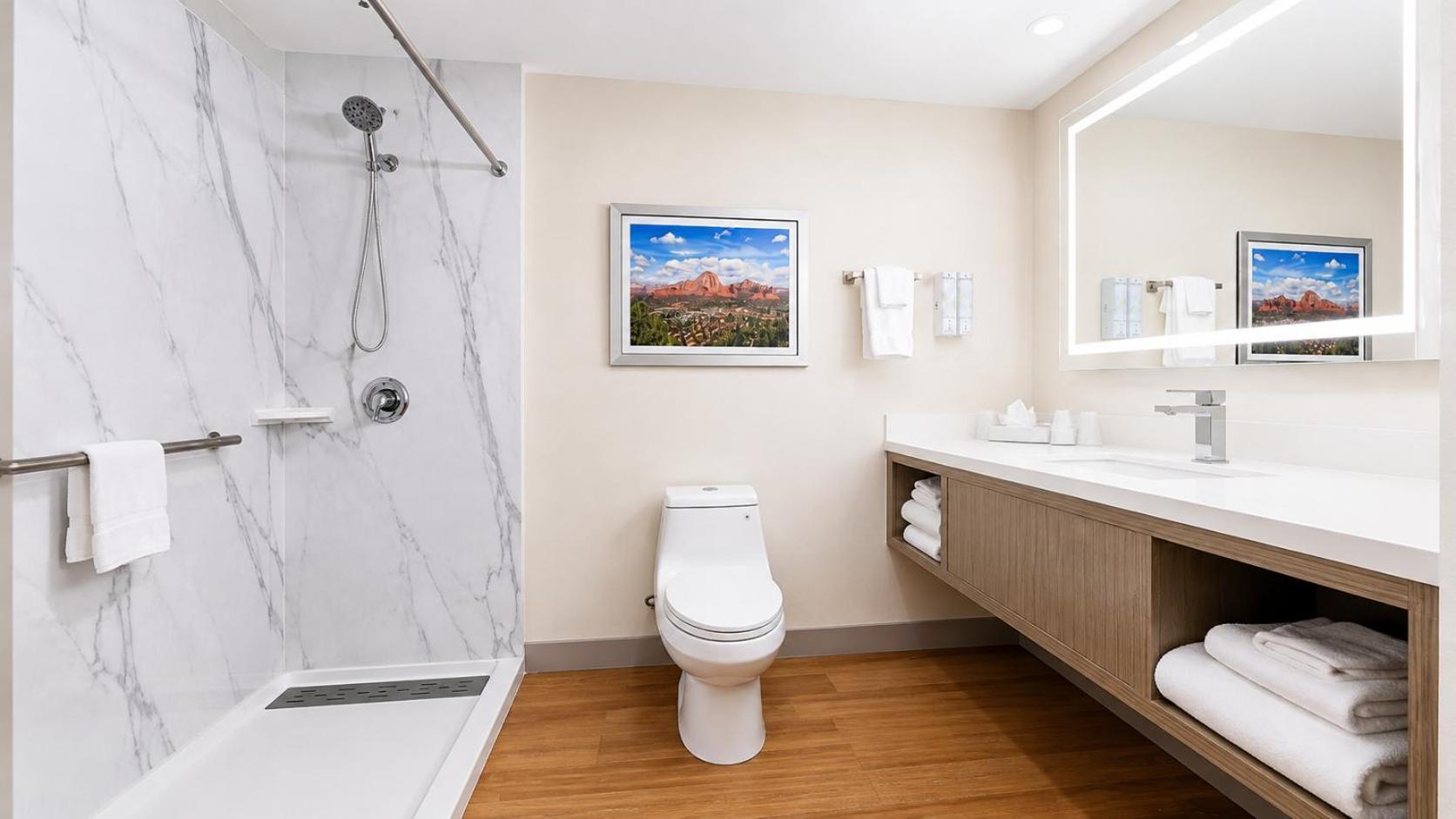 Premium Suite Mountain View