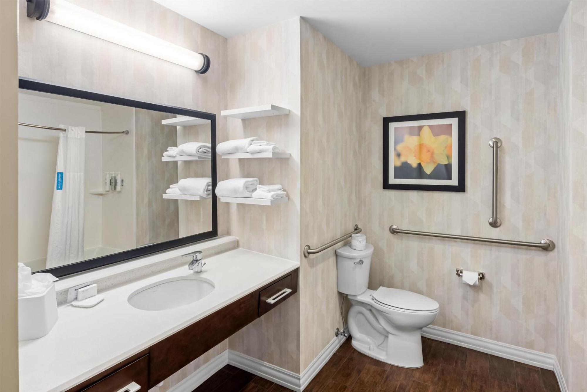 King Room Roll Shower Mobility Hearing Access or Non-Smoking