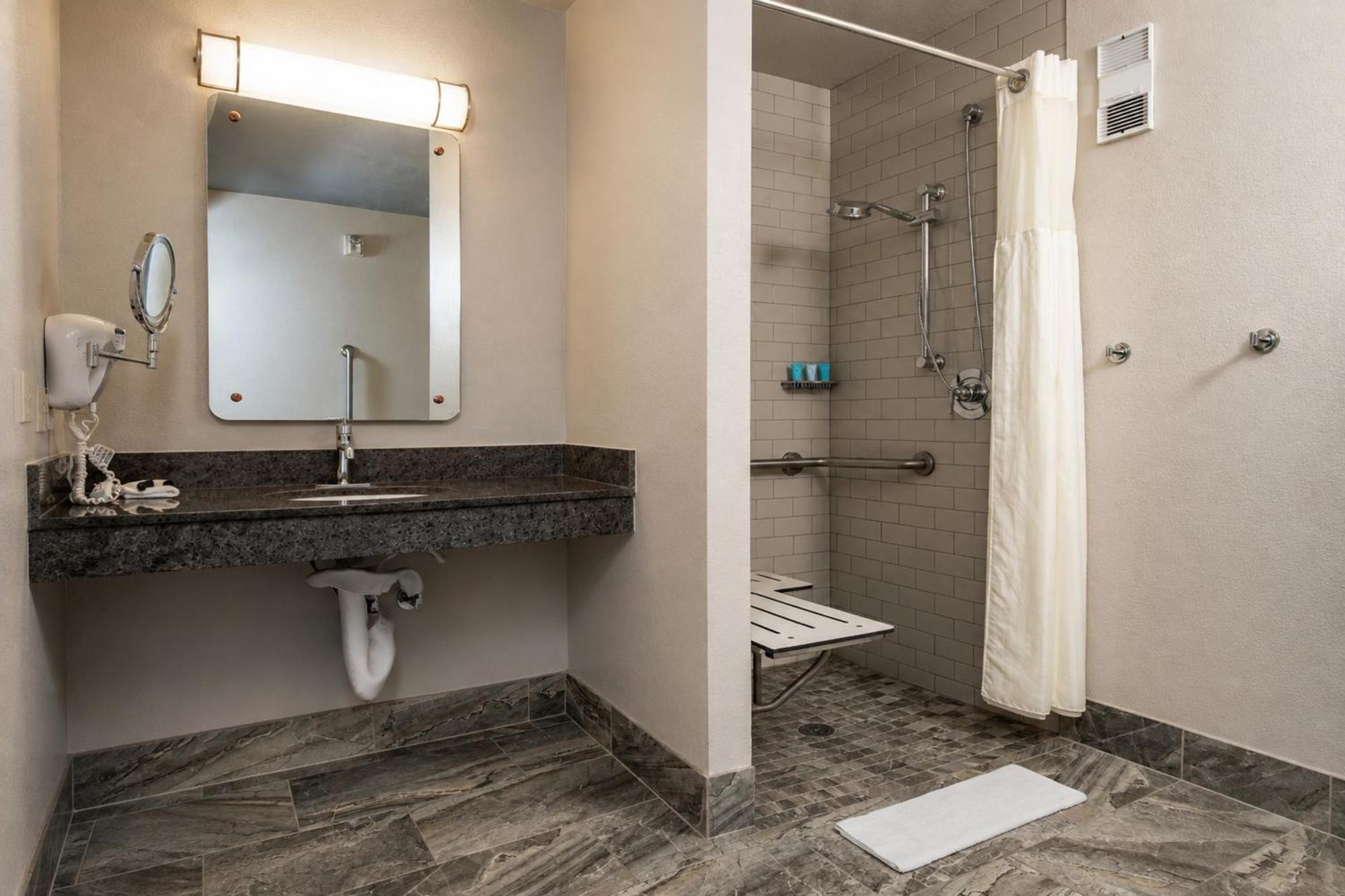 Deluxe King Room Mobility or Hearing Accessible Roll Shower or Non-Smoking