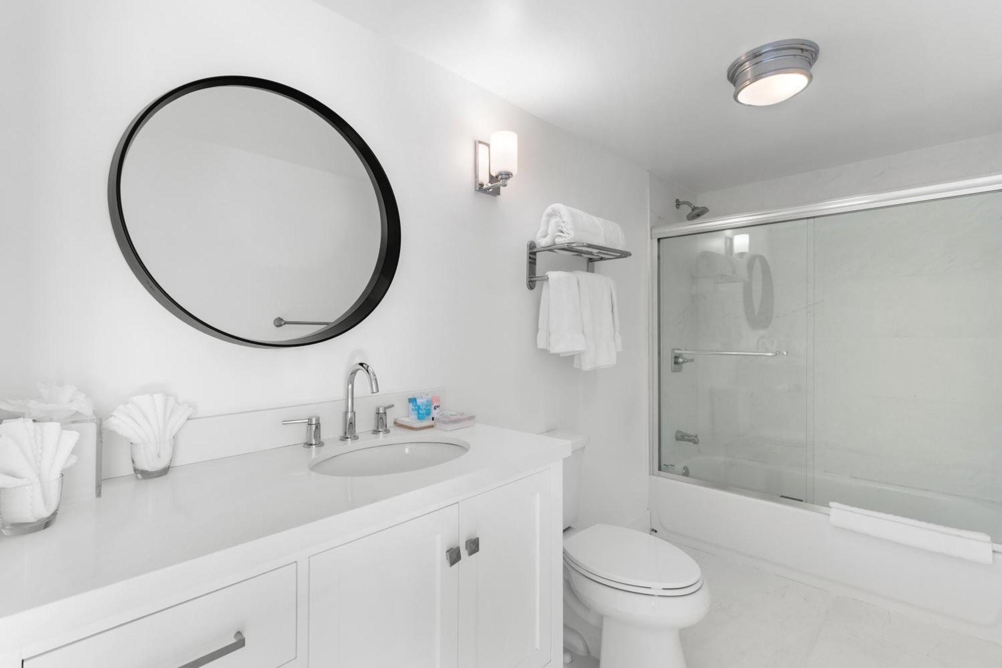 Deluxe One-Bedroom Apartment