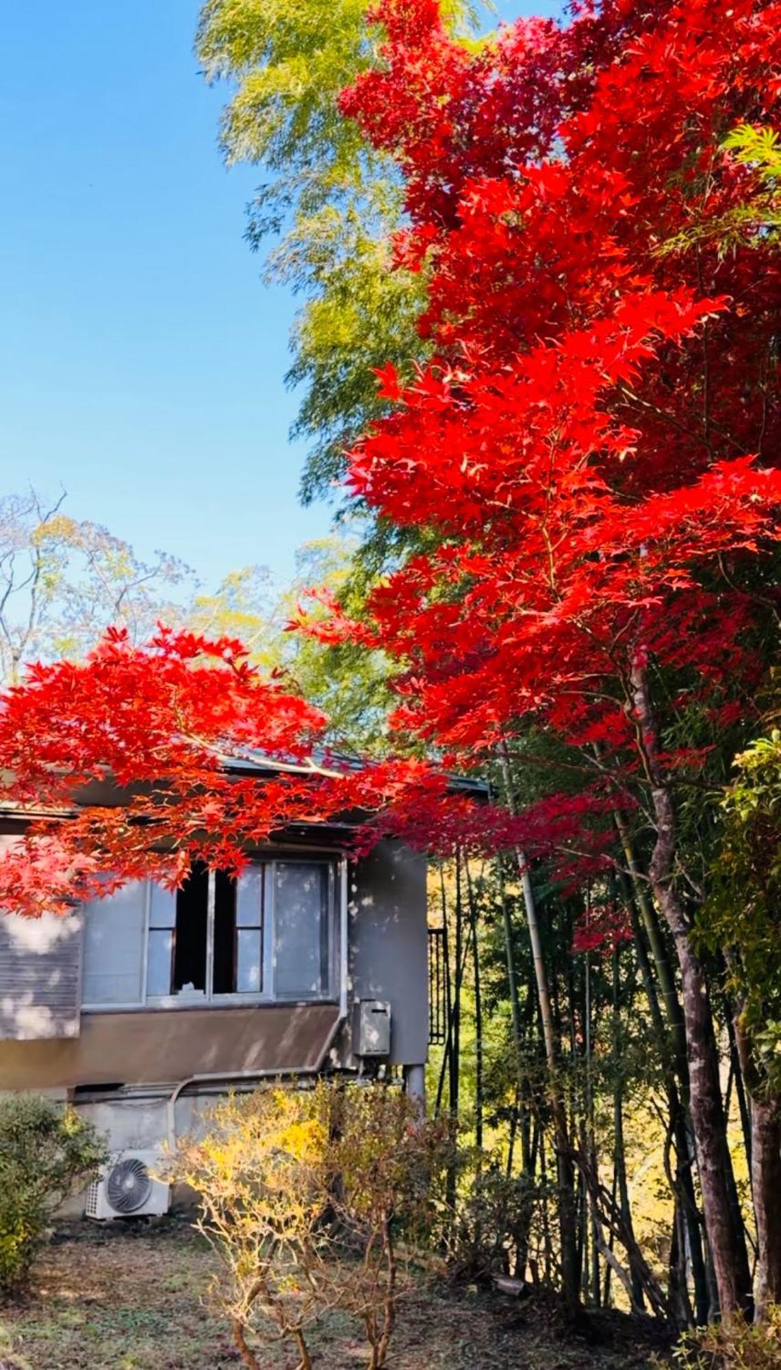 Japanese-Style Standard Twin Room