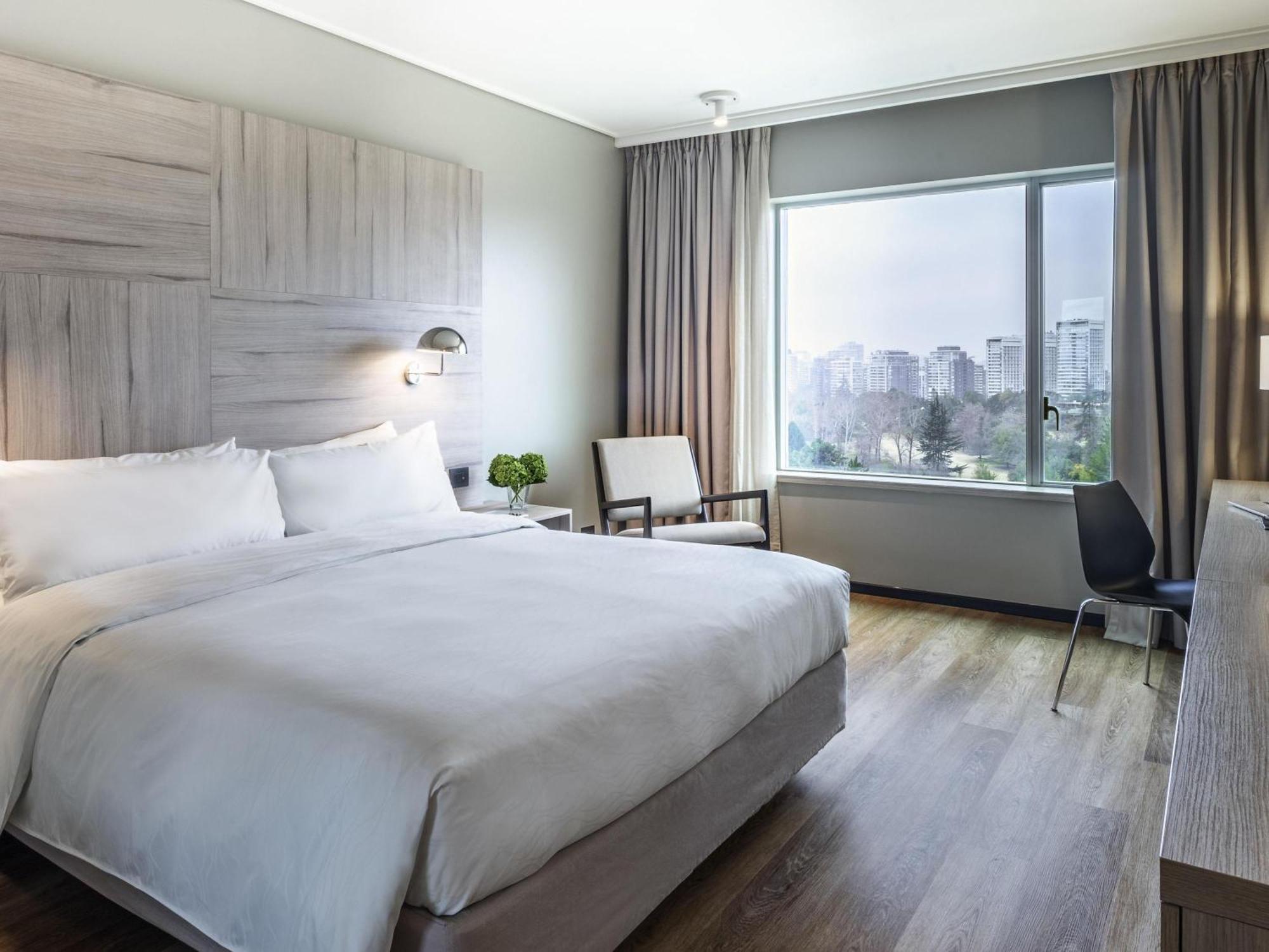 Deluxe King Room View