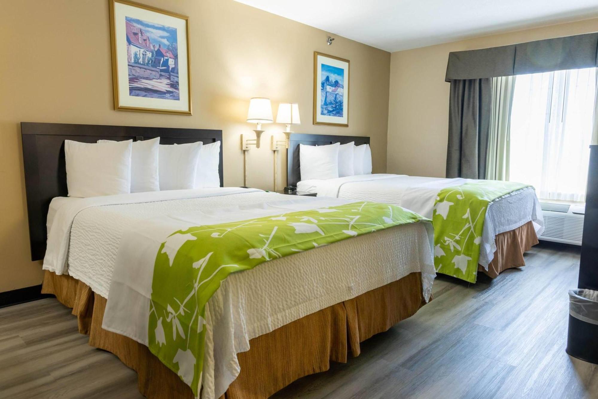 Queen Room Two Queen Beds