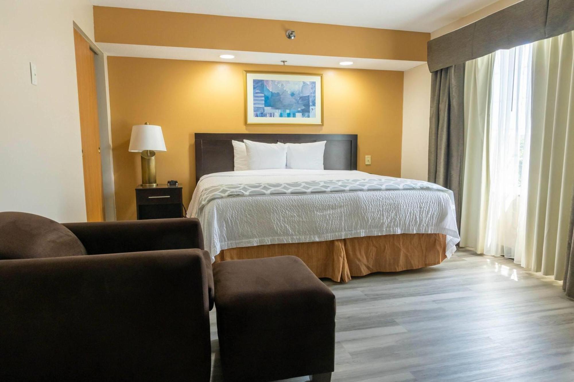 One-Bedroom King Suite Non-Smoking