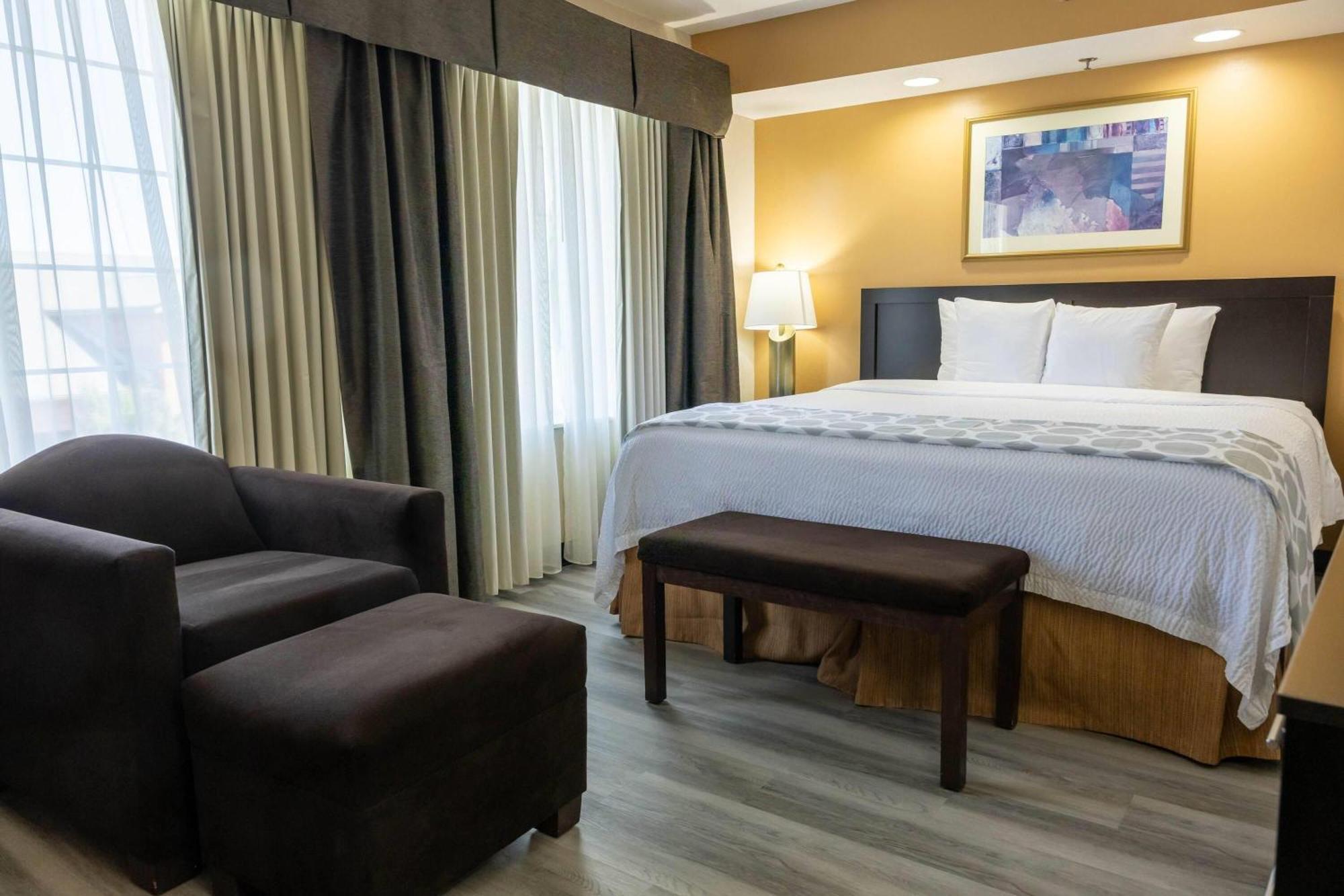 One-Bedroom King Suite Non-Smoking