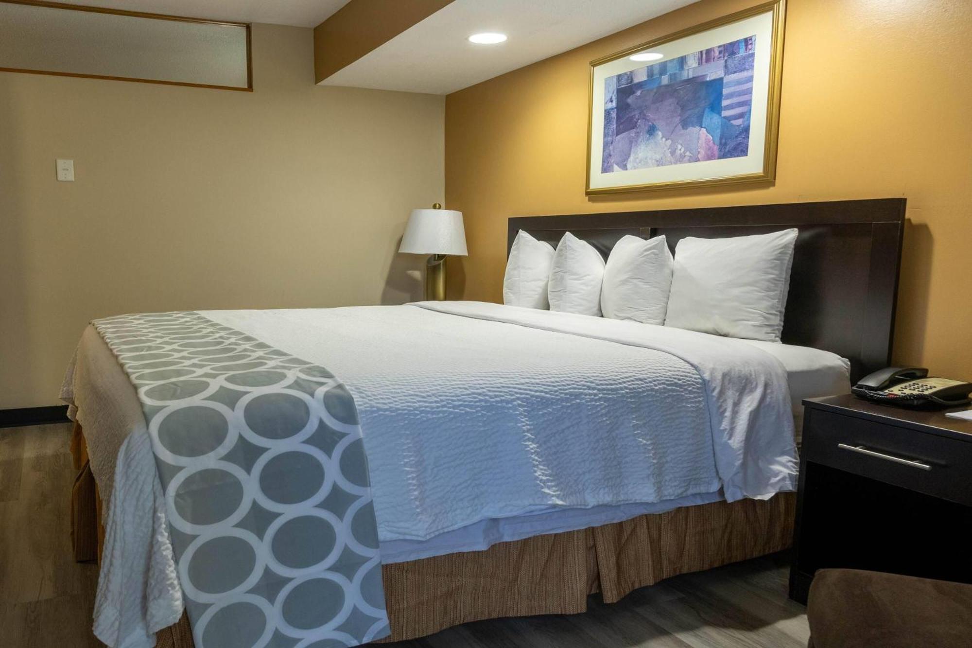 One-Bedroom King Suite Non-Smoking