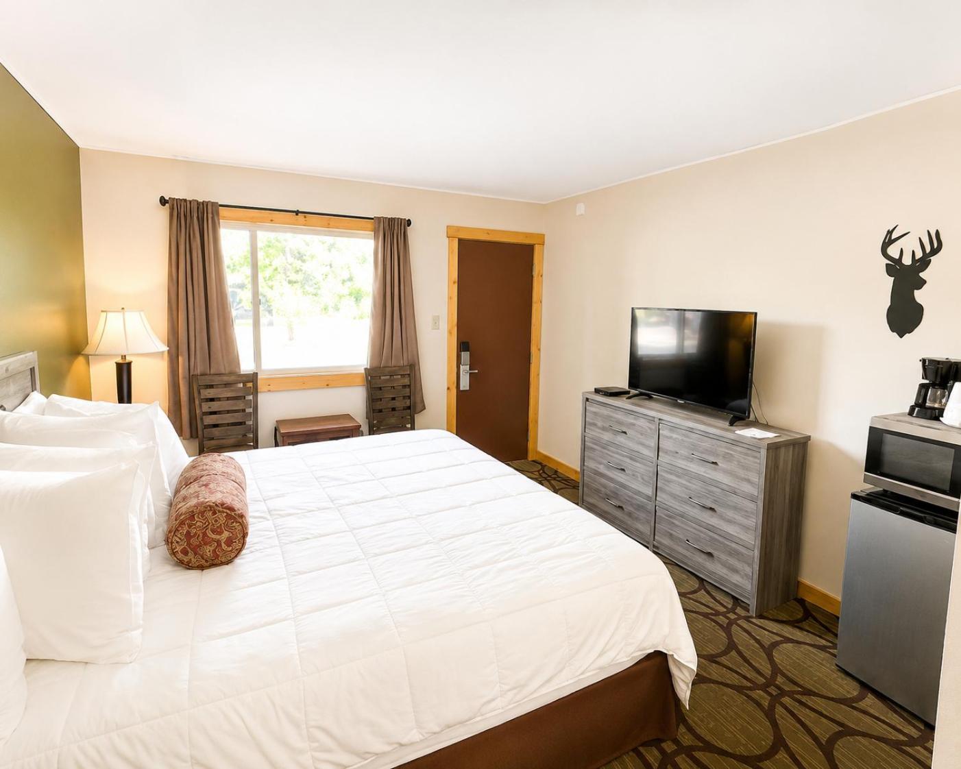 King Room Pet Friendly