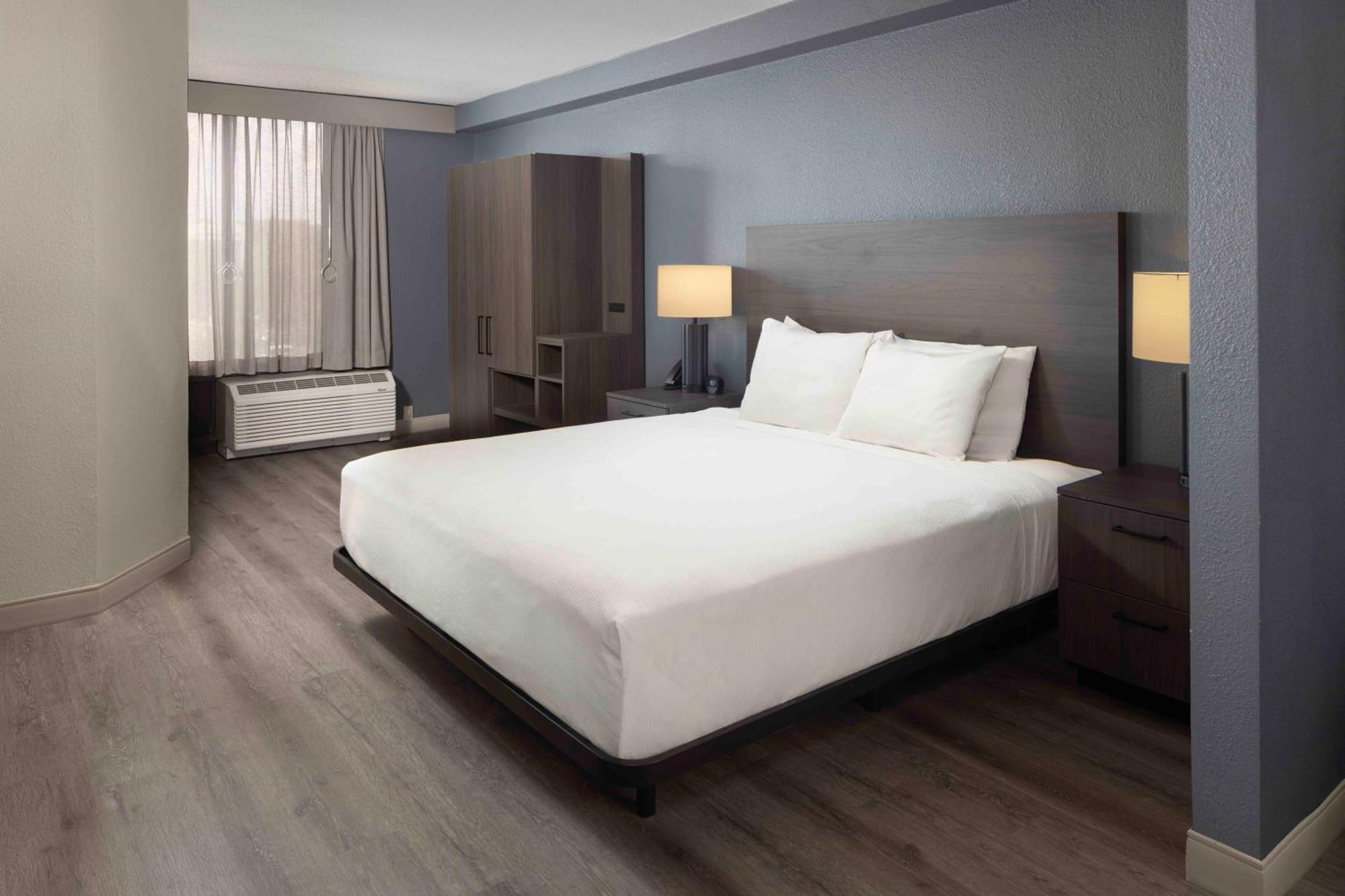 King Room Sofa Bed