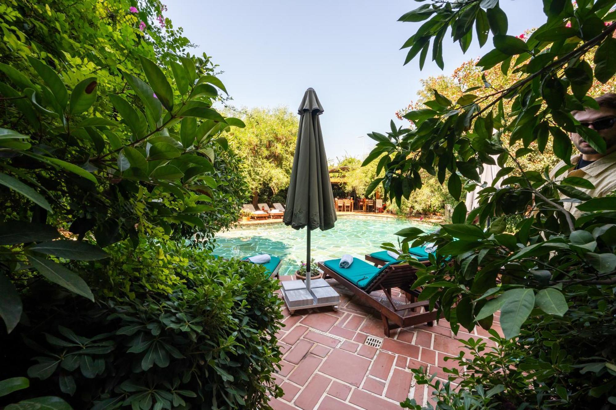 Suite Garden View