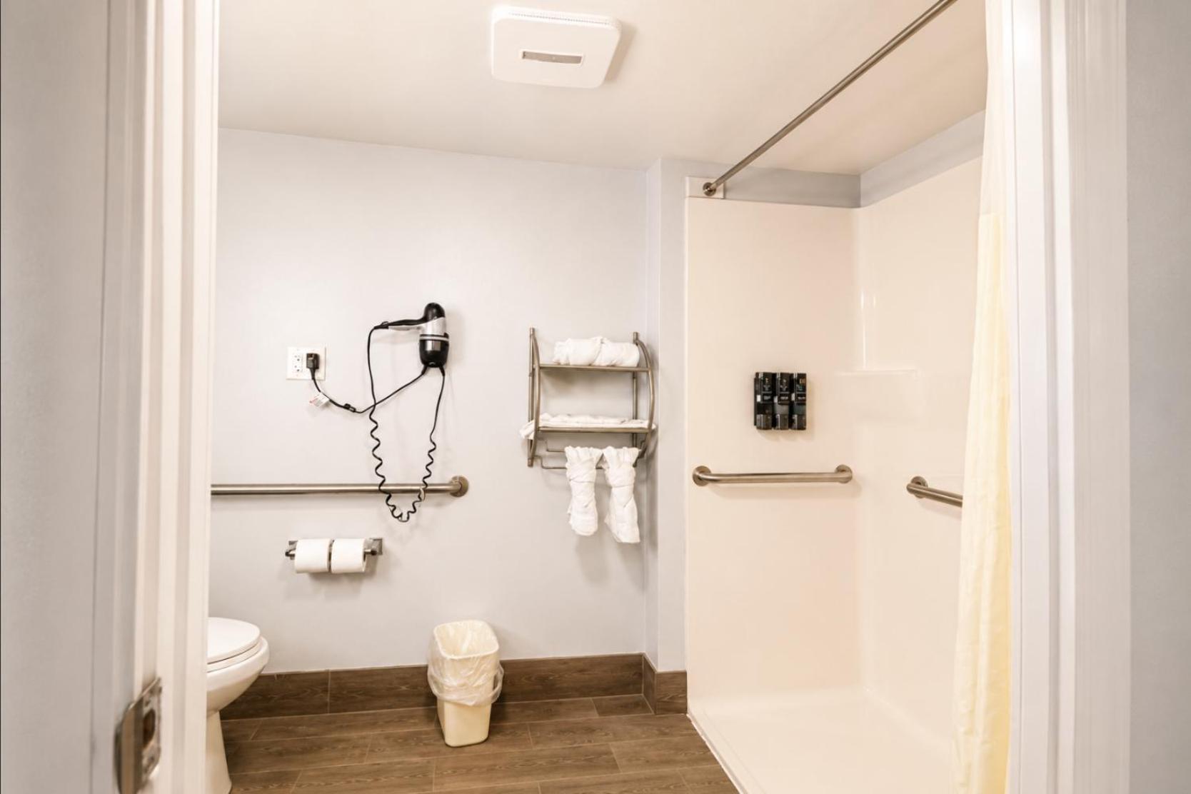 King Room Roll Shower Disability Access