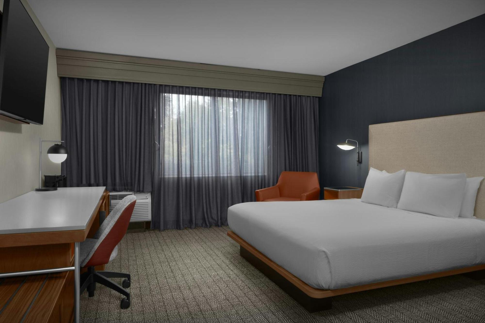 King Room Bathtub Sofa Bed Mobility Access or Hearing Accessible