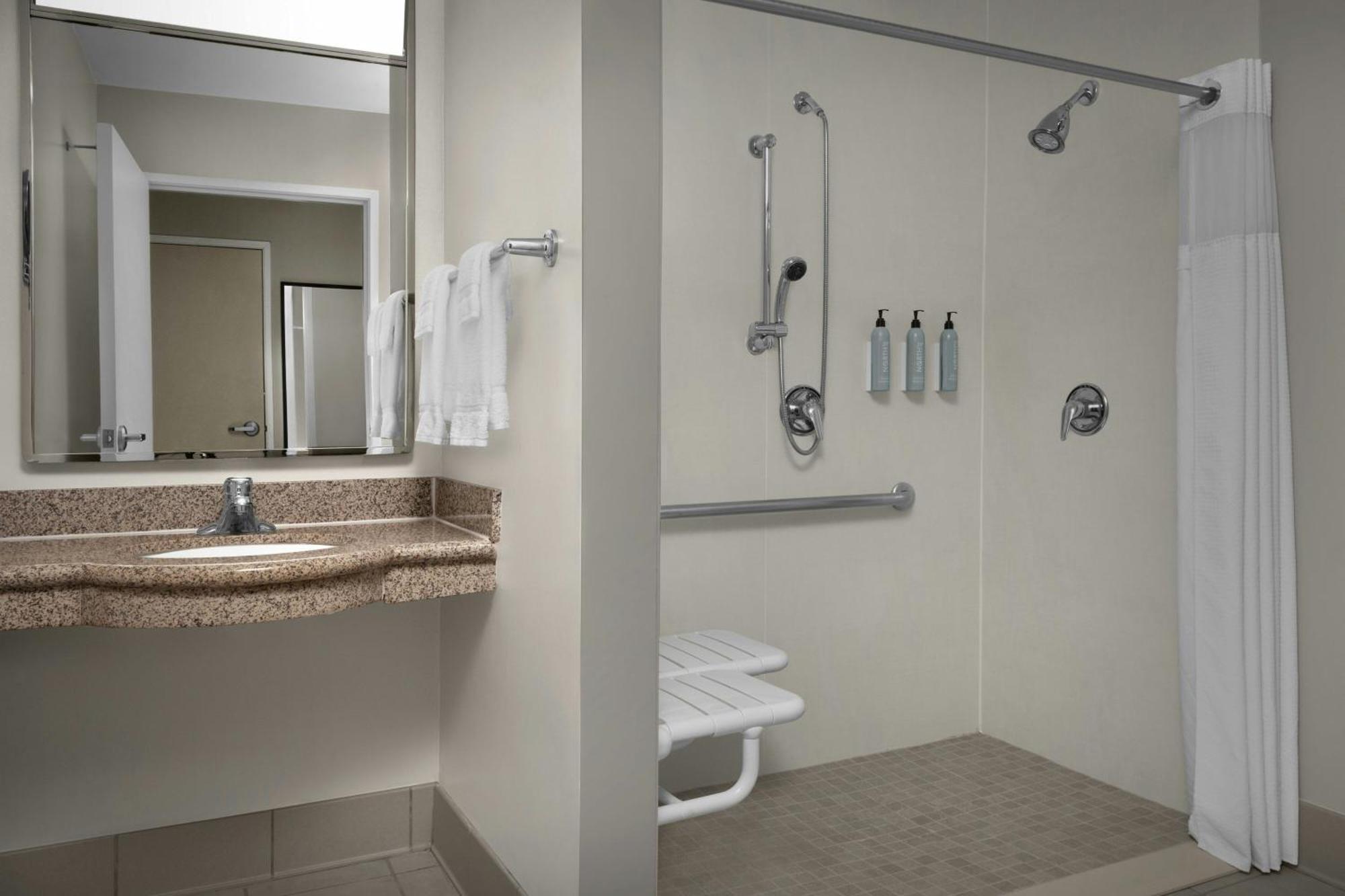 King Room Bathtub Sofa Bed Mobility Access or Hearing Accessible