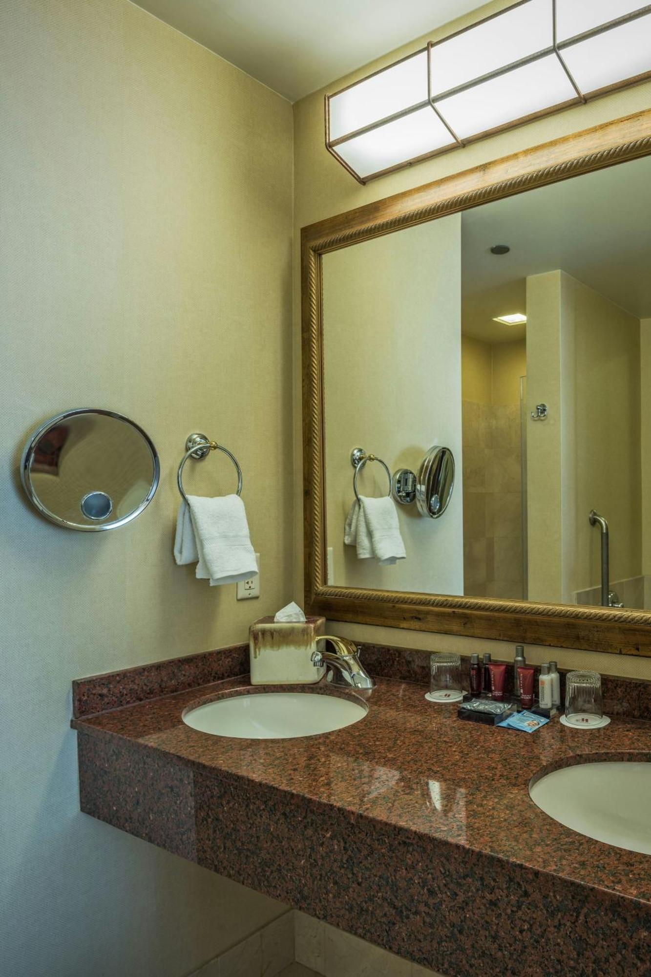 One-Bedroom King Suite