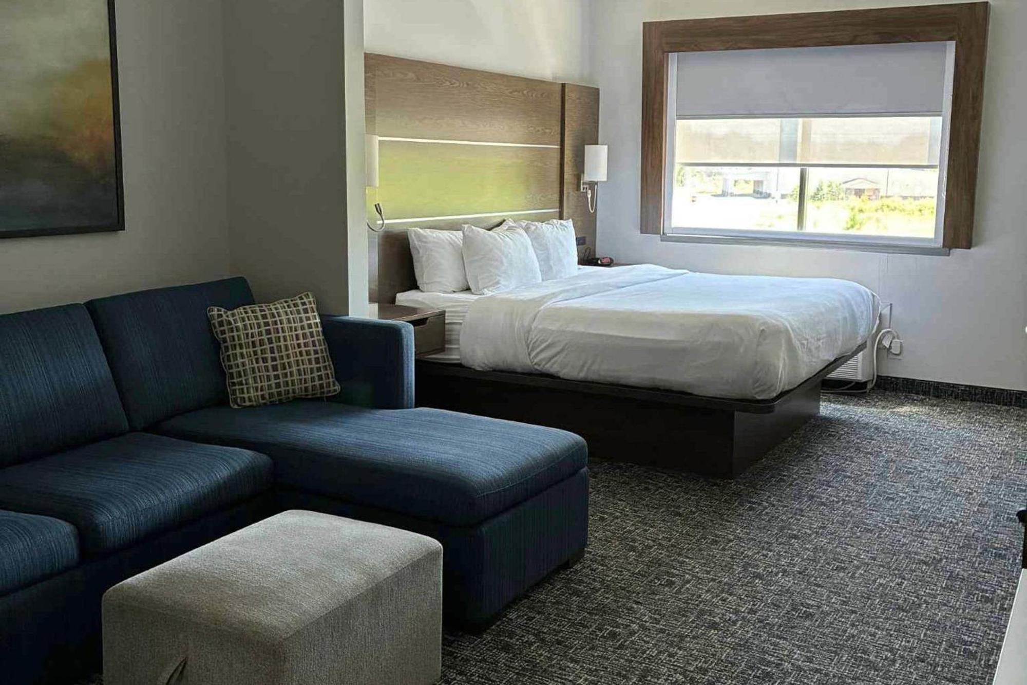King Suite Sofa Bed Non-Smoking