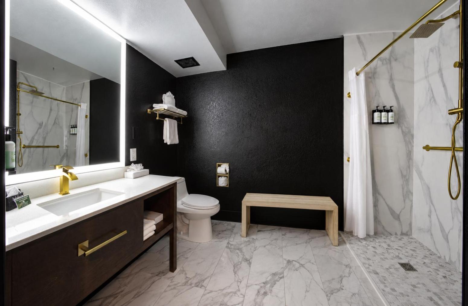 King Wellness Suite Roll shower Accessible or Non-Smoking