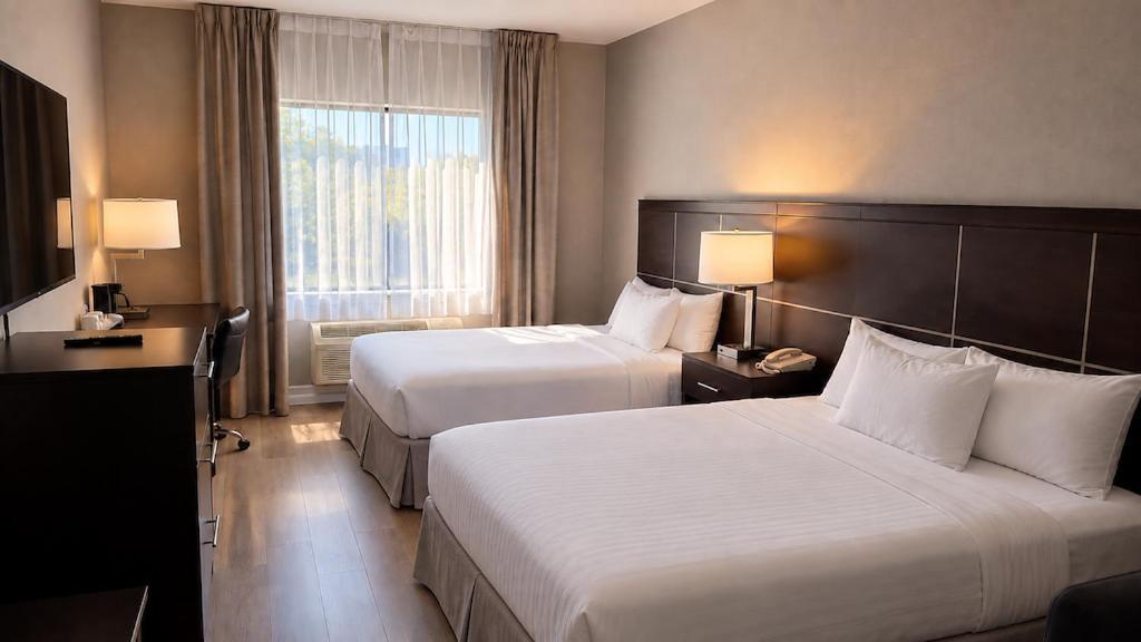 Economy Double Room Two Double Beds