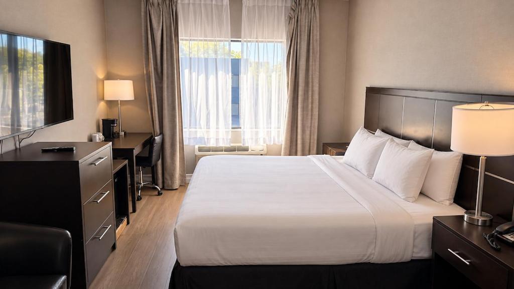 Economy Queen Room