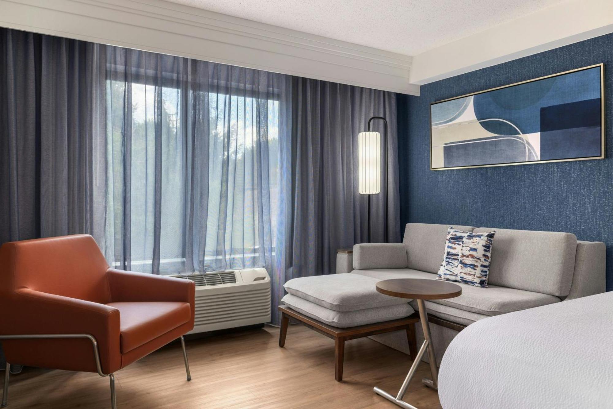 King Room Sofa Bed