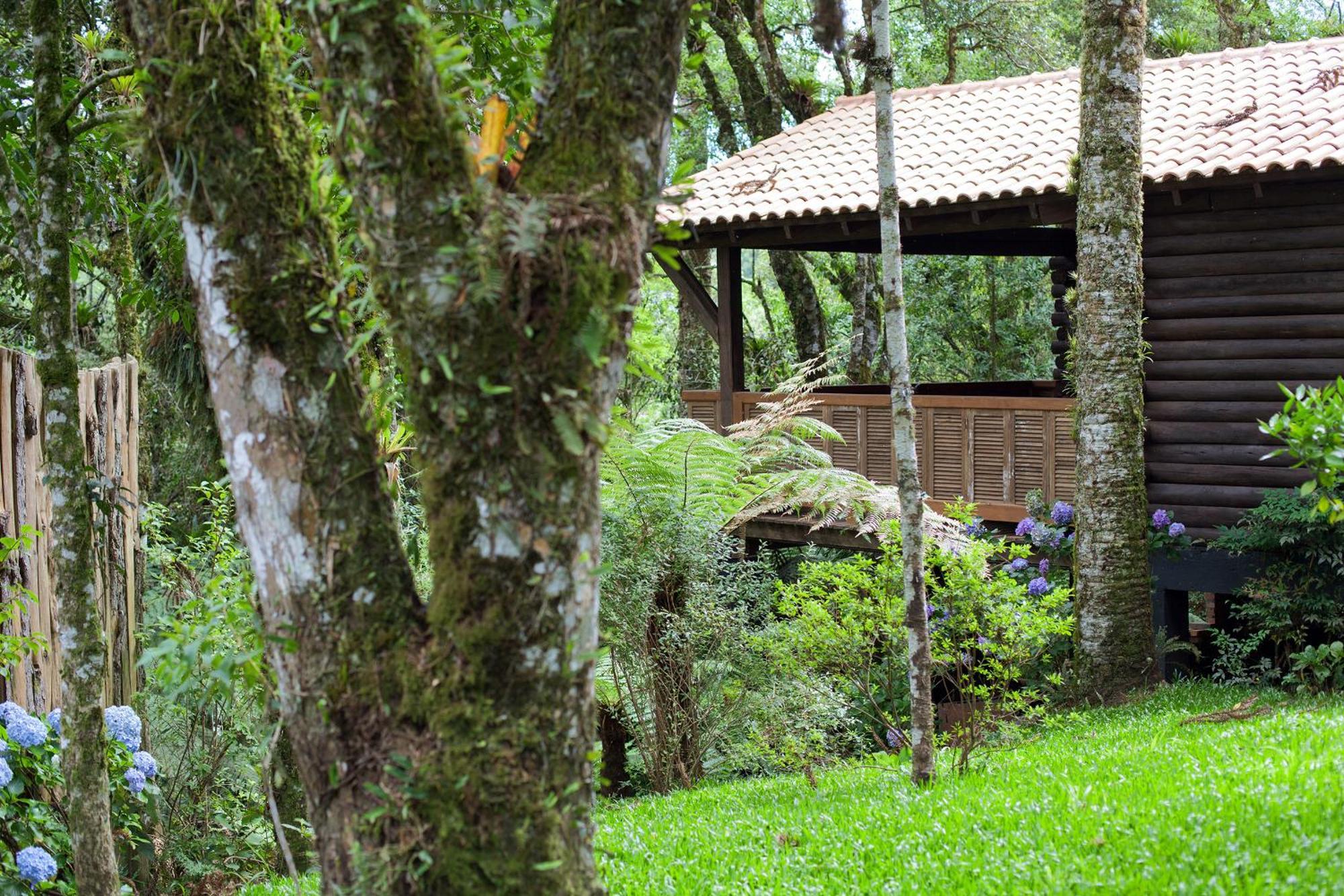 Master Bungalow Sauna