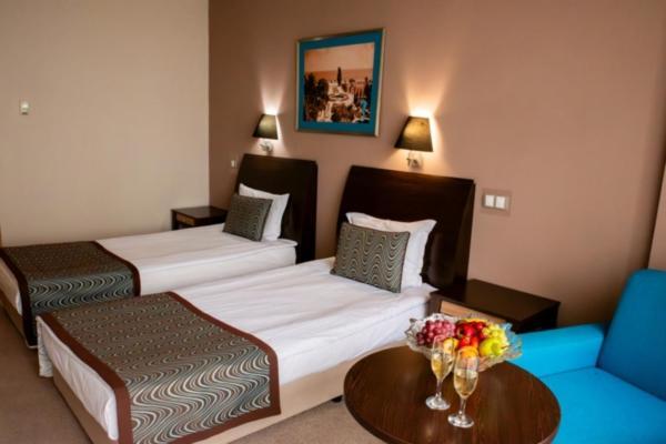 Standard Double or Twin Room Balcony