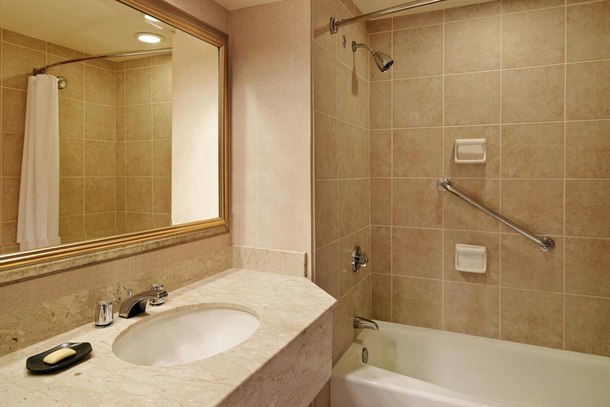 Traditional King Room Adapted Tub Mobility Accessible